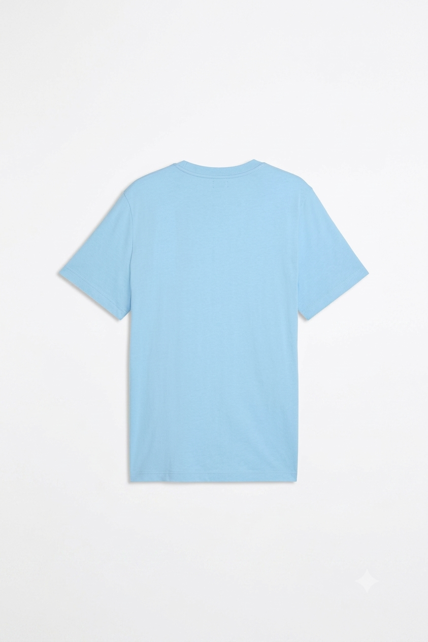 ensemble Ess No.1logo 692912 47 vibrant blue