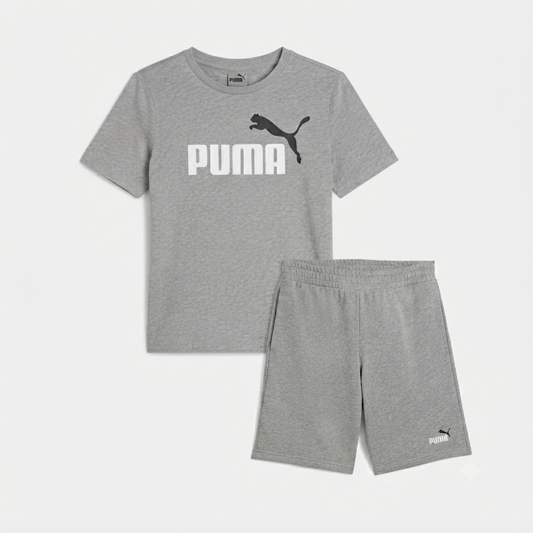 Puma Men’s ESS 2 Colour 684708 03 medieum gray heather